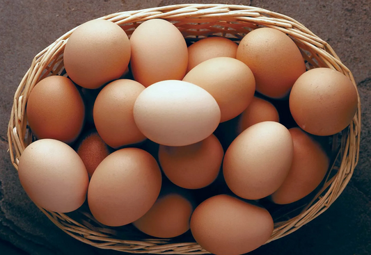 Eggs: Protein, Cholesterol & Health Benefits of Eating Eggs