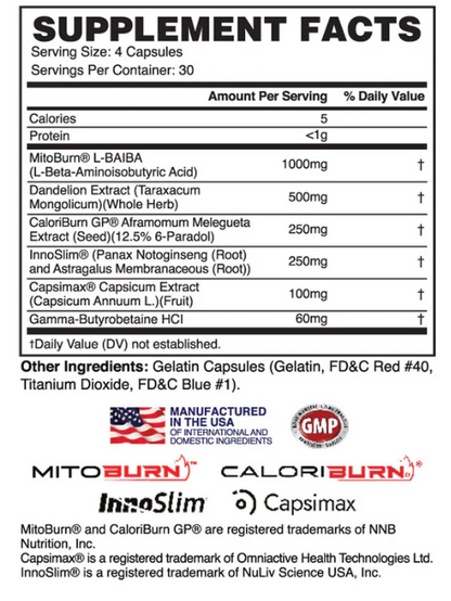 Apollon Nutrition Molotov V3